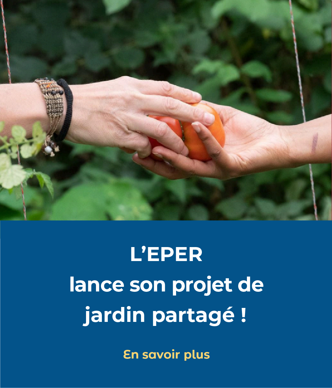 EPER jardin partagé